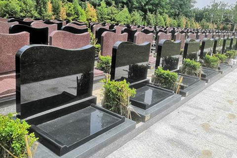 大连殡葬服务：公墓不续费，骨灰会被扔掉吗？