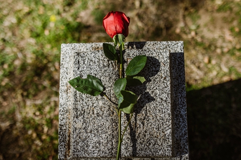 大连殡葬服务，坟、墓、冢、陵有什么区别？
